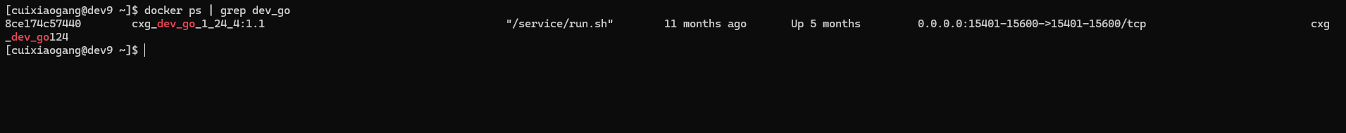 dev_go开发容器